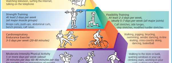 physical activity definition physical activity definition