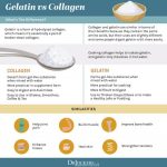 what is gelatin everything you need to know