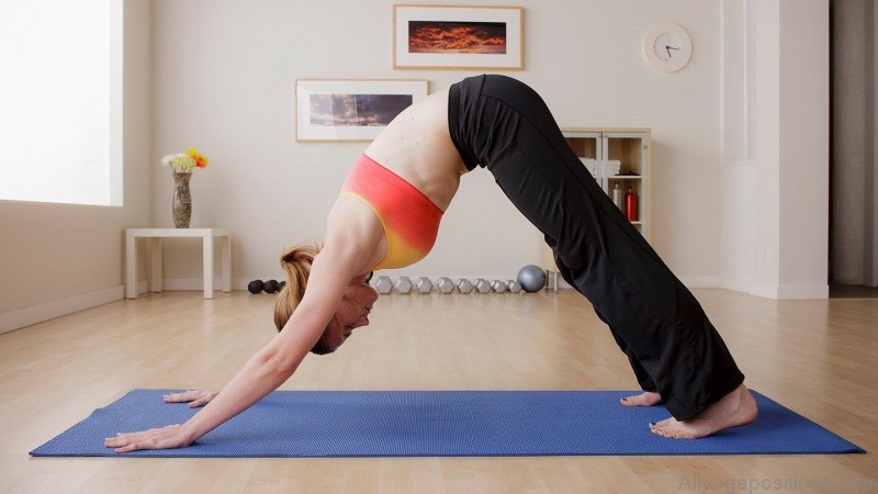 the best yoga poses for back pain 1
