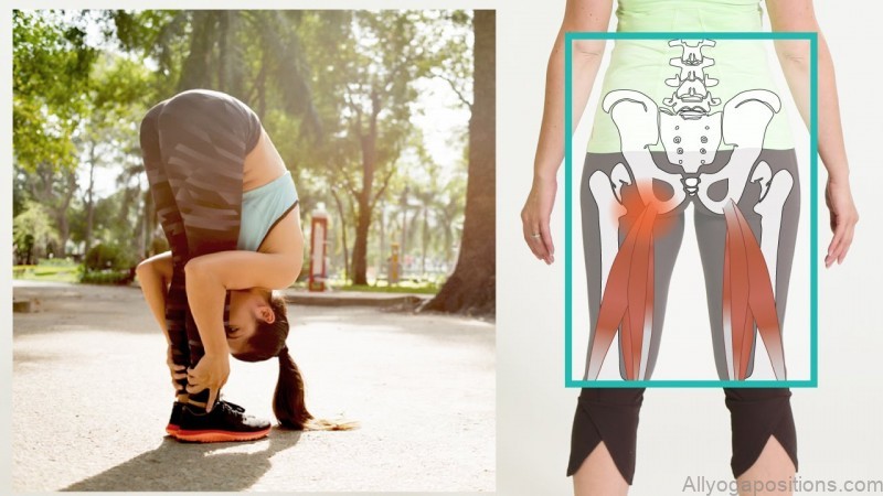 yoga poses anatomy hamstrings healing a sore hamstring attachment 4