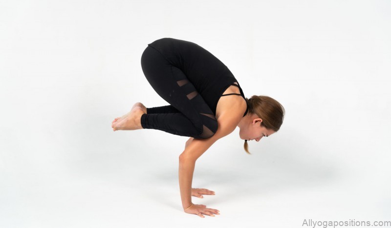 yoga poses types arm balances flight plan 3