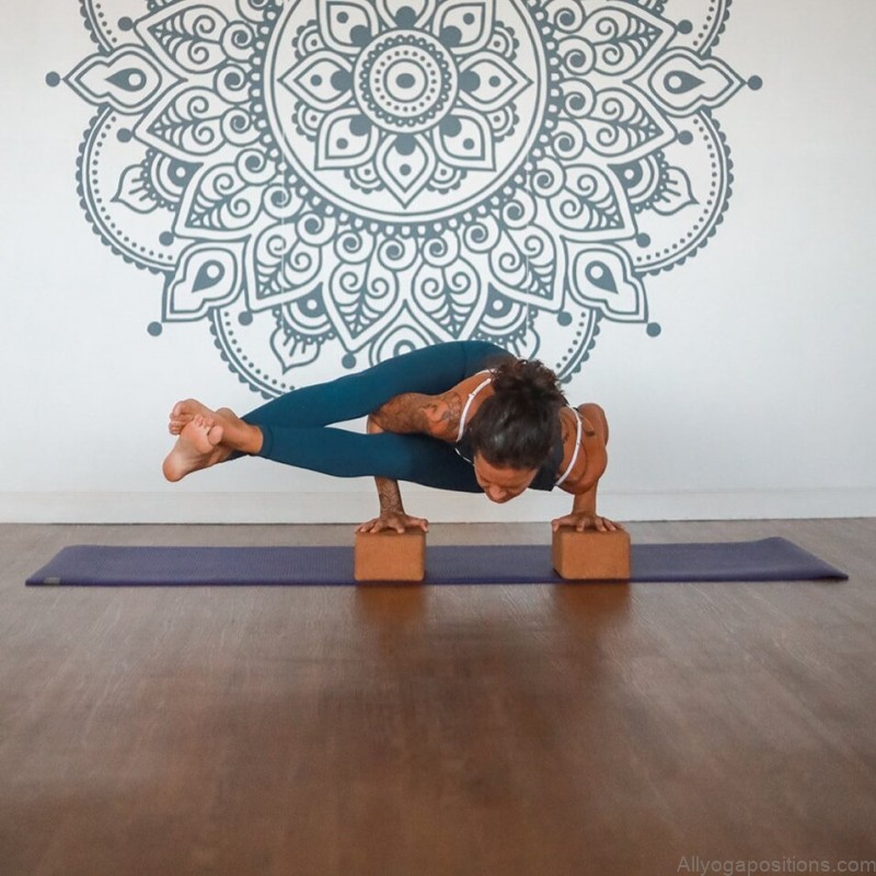 yoga poses types arm balances light up and fly 2