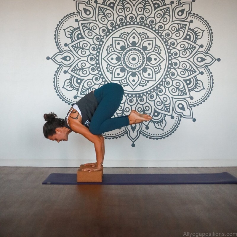 yoga poses types arm balances light up and fly