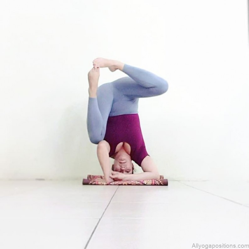 yoga practice yoga sequences challenge pose sirsasana ii tripod headstand
