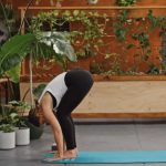 yoga practice yoga sequences level beginners sequences 7 yoga poses fall energy boost 6
