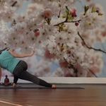 yoga practice yoga sequences move into meditation with shiva rea 3