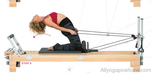 balanced body building in pilates3