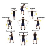 resistance band exercises and workouts