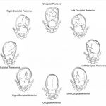 prenatal vinyasa yoga 1