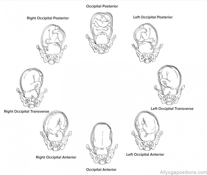 prenatal vinyasa yoga 1