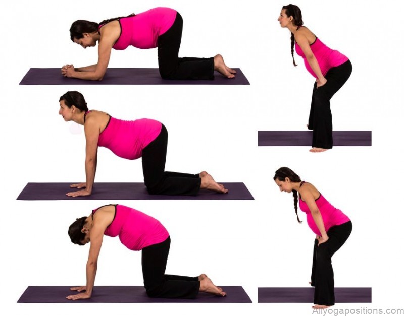 prenatal vinyasa yoga
