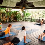 balance yoga for chickens relaxing your inner cheek
