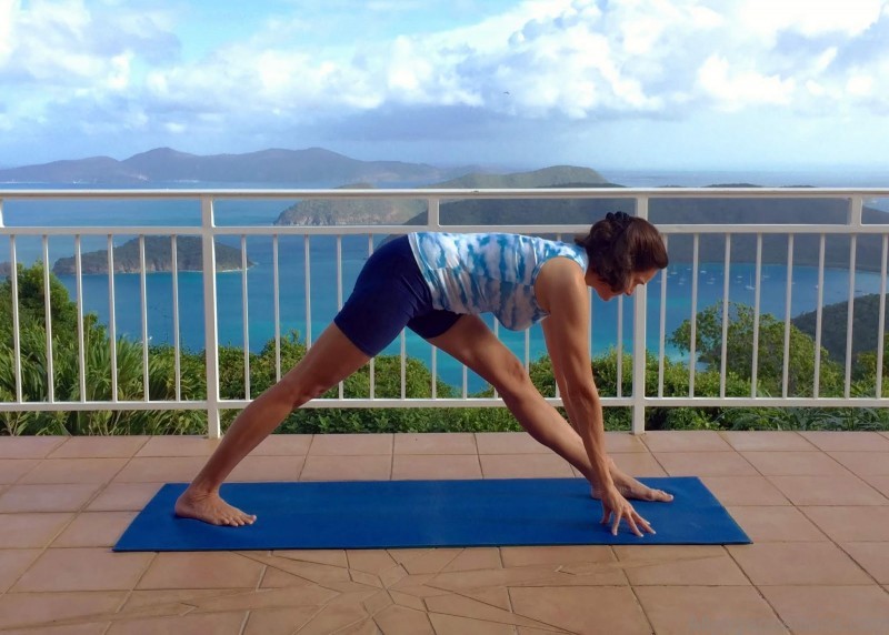 how to determine your lifestyle balance parsvottanasana 1
