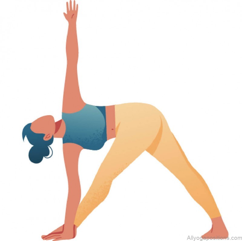 how to determine your lifestyle balance parsvottanasana