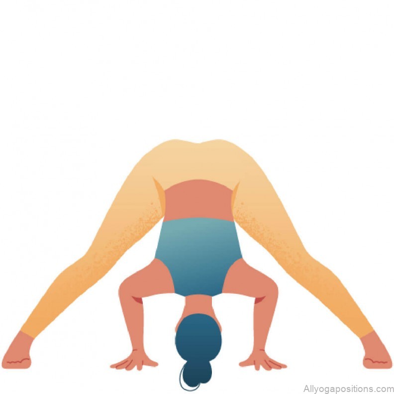 Yoga Poses 3 Steps To Modify Prasarita Padottanasana - All Yoga Positions