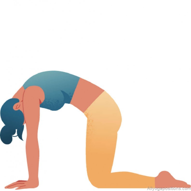 yoga poses 3 steps to modify prasarita padottanasana 5