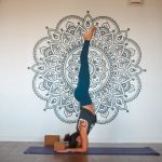 yoga poses types arm balances light up and fly 1