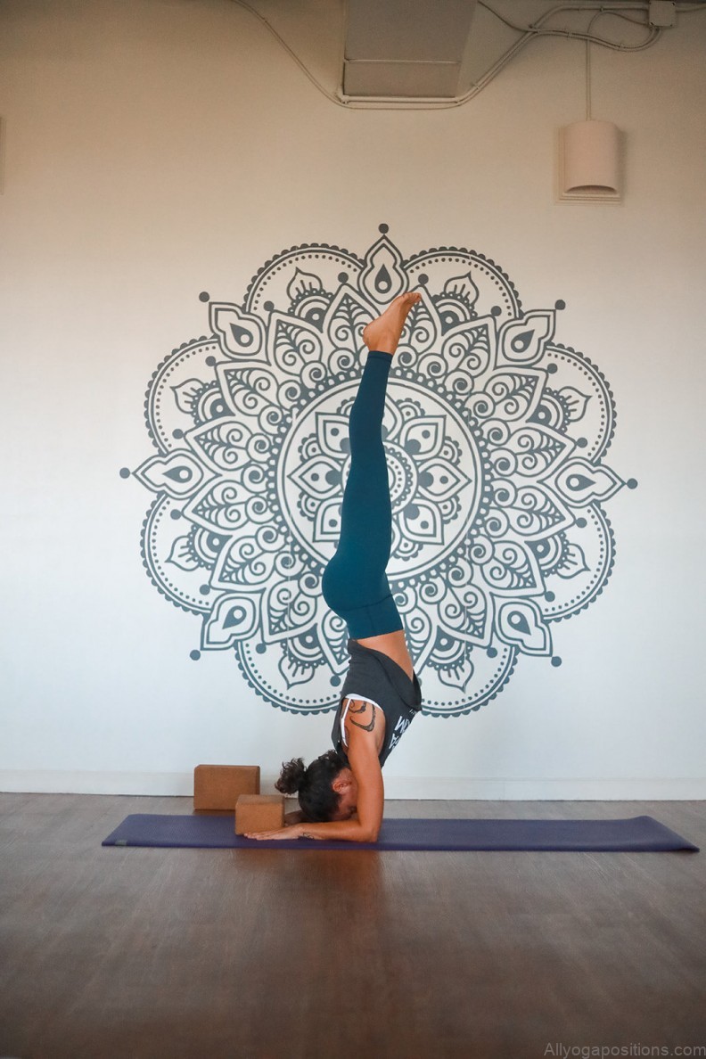 yoga poses types arm balances mission possible 1