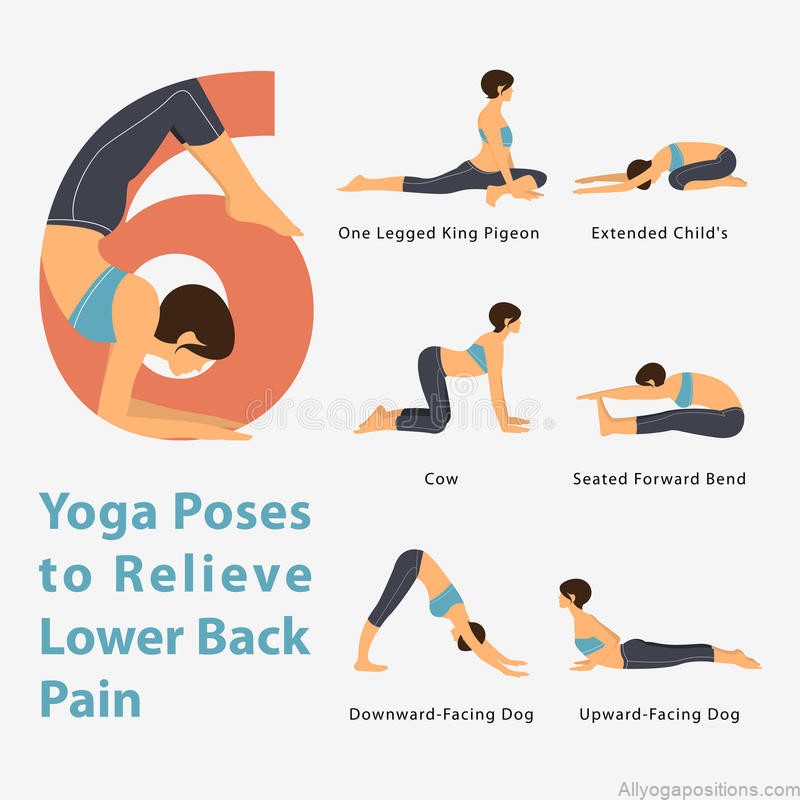 yoga practice yoga sequences 6 yoga poses basketball players coaches fans 3