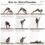 yoga practice yoga sequences bird 3