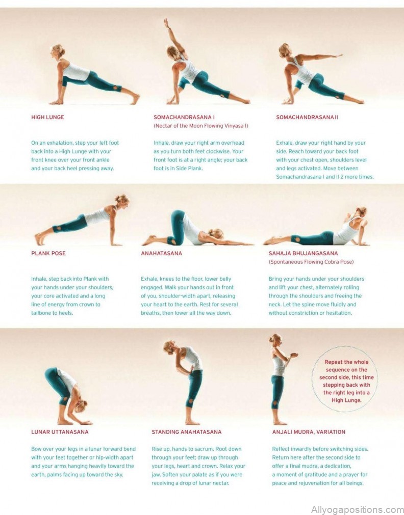 yoga practice yoga sequences move into meditation with shiva rea 1