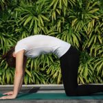 yoga practice yoga sequences power warm ups 2
