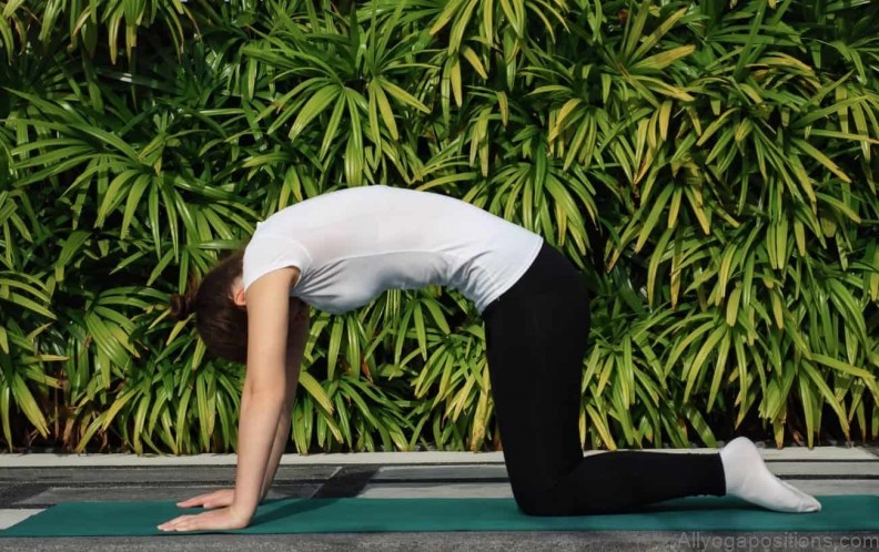yoga practice yoga sequences power warm ups 2