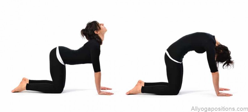 10 yoga poses that are great for common hiatal hernia 5