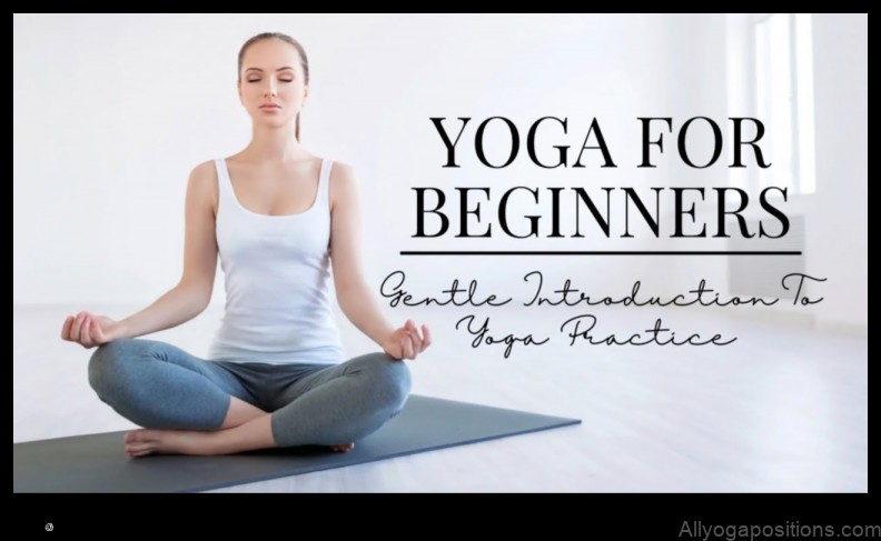 The Basics of Yoga: A Beginner's Guide