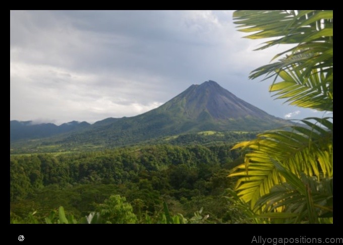 Yoga Retreats: Finding Peace in Paradise