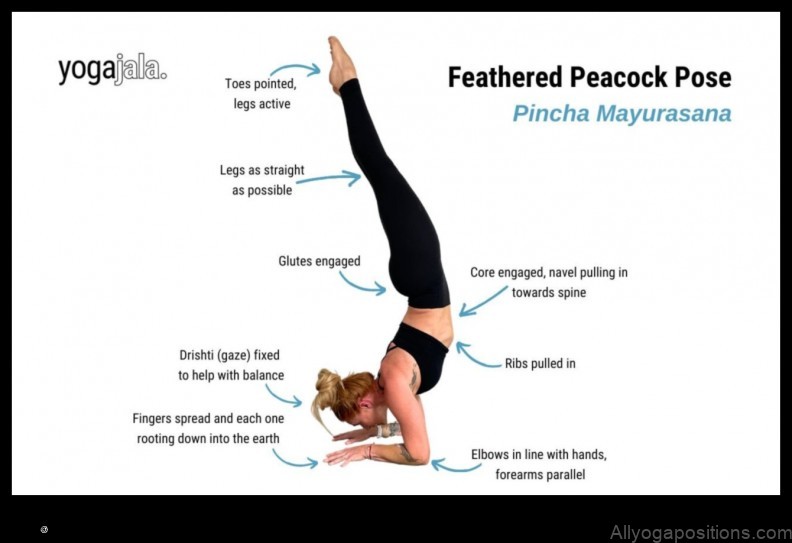 Pincha Mayurasana yoga pose