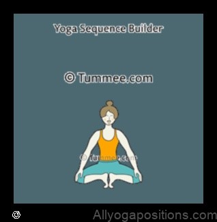Lion Pose yoga pose