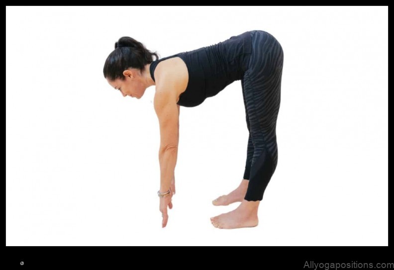 Standing Half Forward Bend yoga pose