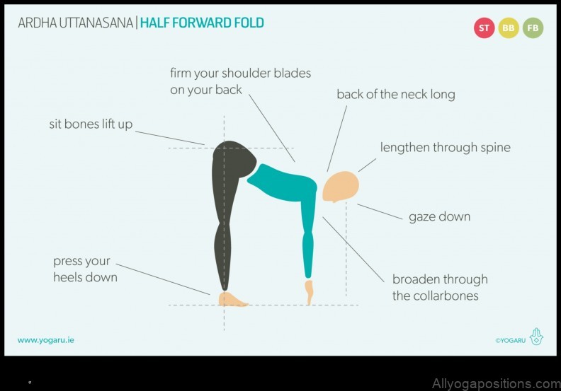 Standing Half Forward Bend yoga pose