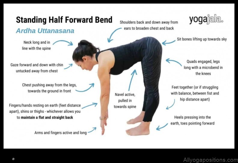 Standing Half Forward Bend yoga pose