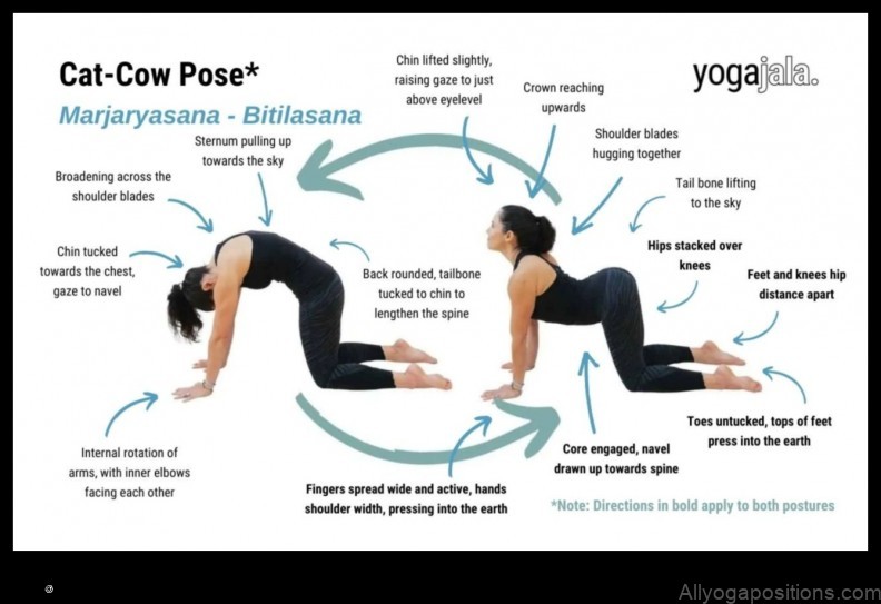 Bitilasana yoga pose