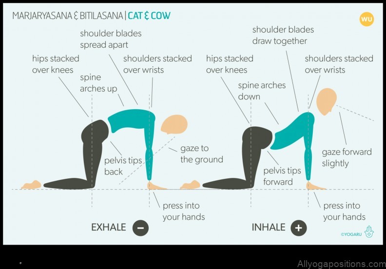 Bitilasana yoga pose