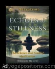 The Science of Stillness: How Meditation Rewires Your Brain