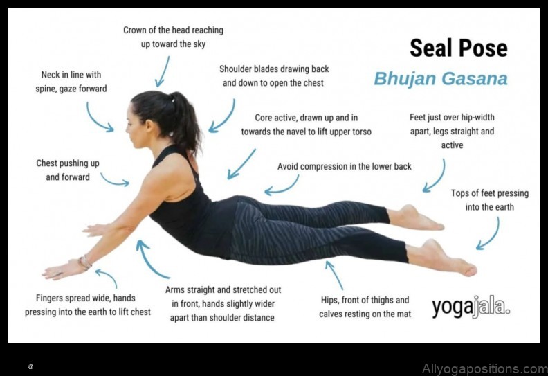 Truth Seal yoga pose