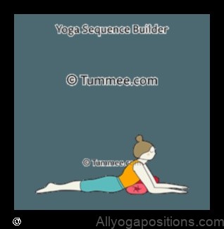 Truth Seal yoga pose