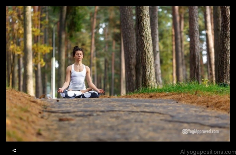 Blissful Breath: Yoga for Pranayama Bliss