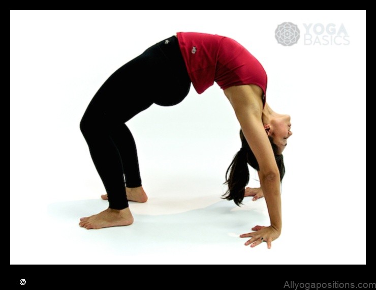 Upward Bow (Wheel) Pose yoga pose