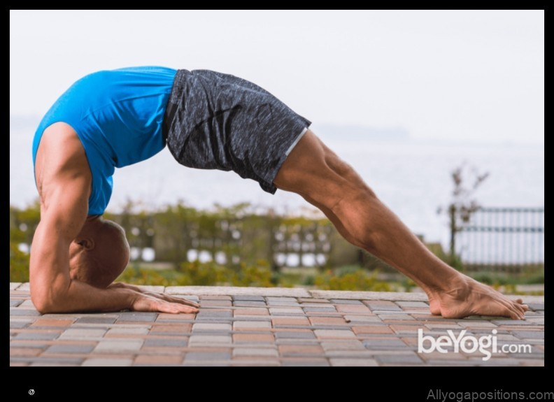 Upward Facing Two-Foot Staff Pose yoga pose