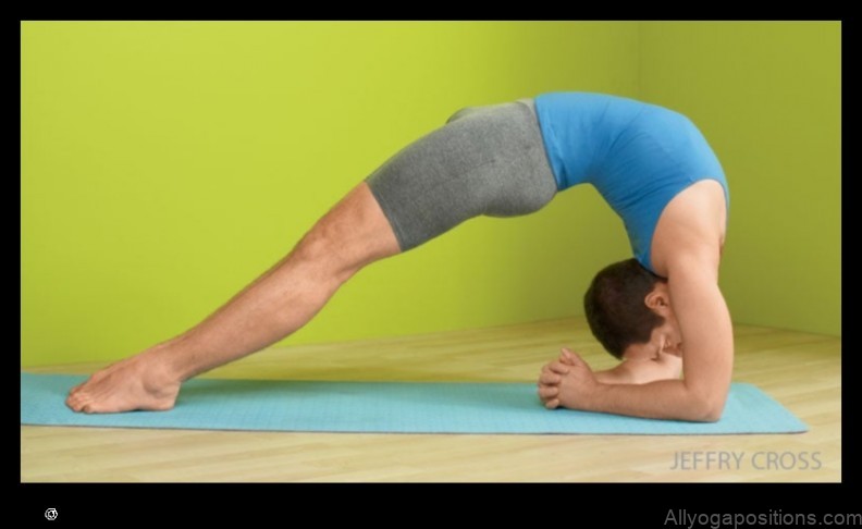 Upward Facing Two-Foot Staff Pose yoga pose