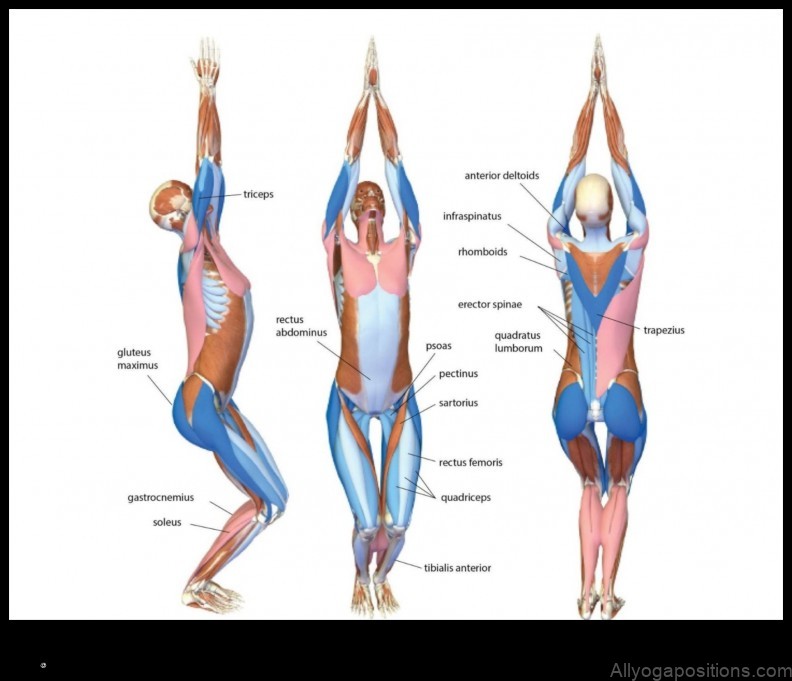 Utkatasana yoga pose