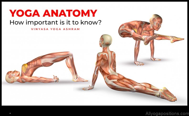 Yoga Anatomy: Understanding the Body in Asanas