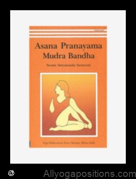 Bandha, Meditation, Mudra, and Pranayama yoga pose