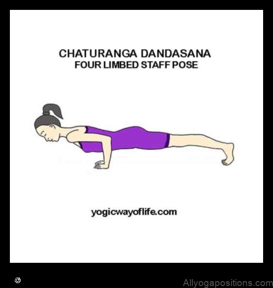 Chaturanga Dandasana yoga pose