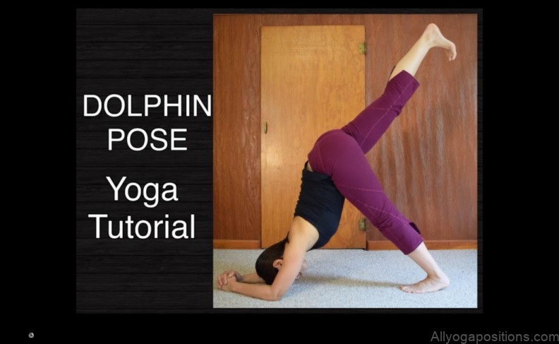 Dolphin Pose yoga pose