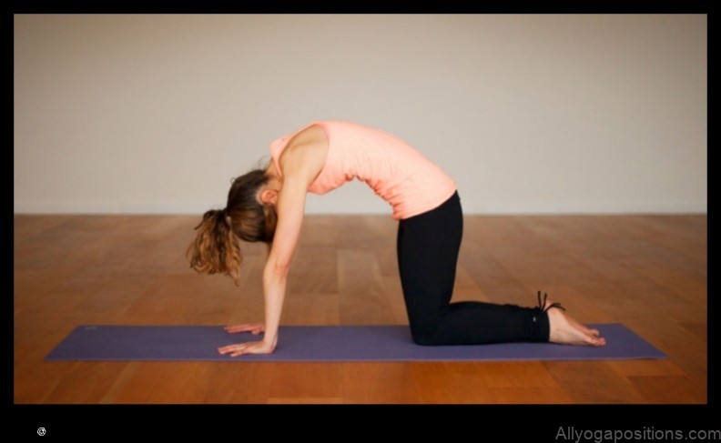 Yoga Fundamentals: Building a Strong Foundation